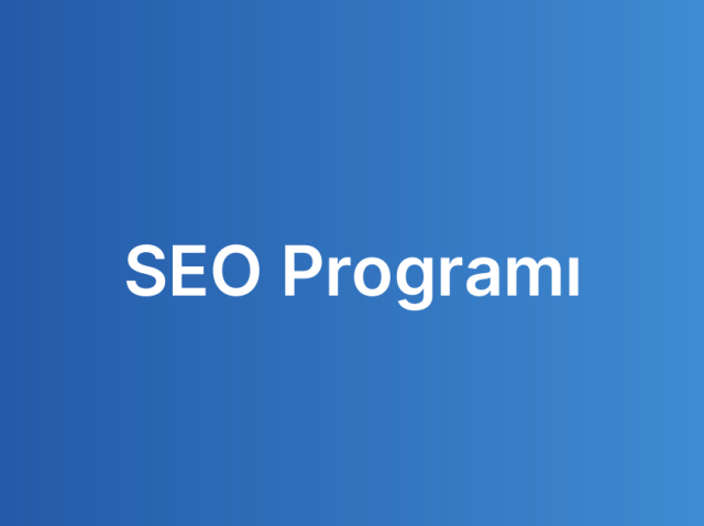 SEO Programı