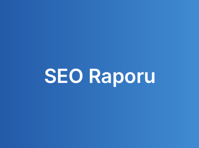 SEO Raporu
