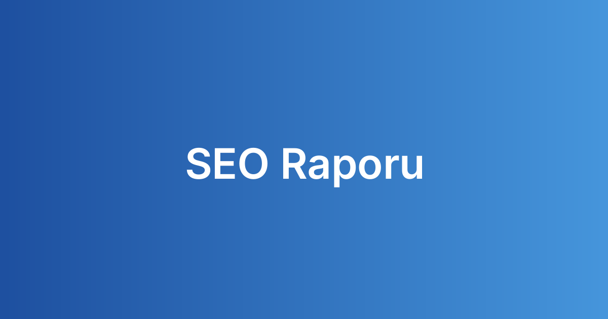 SEO Raporu