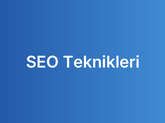 SEO Teknikleri