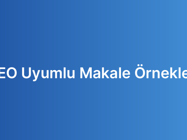 SEO Uyumlu Makale Örnekleri