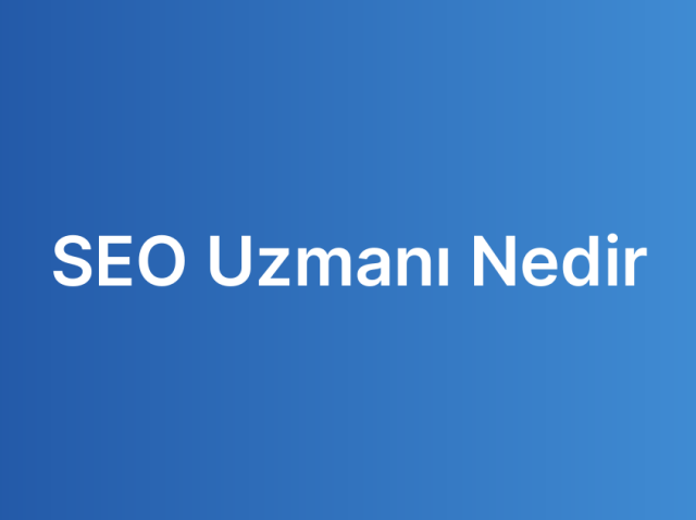 SEO Uzmanı Nedir