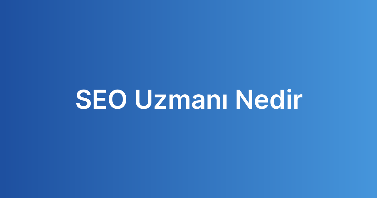 SEO Uzmanı Nedir